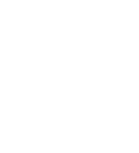 Badge_of_the_Indian_Air_Force