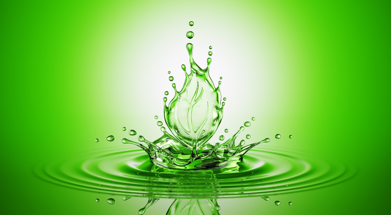 Innovation and Sustainability